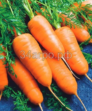 Морковь Курода Шантанэ 1 кг.